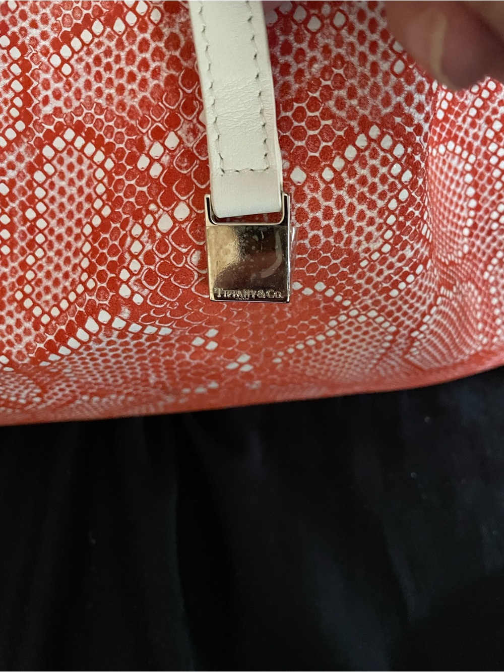 Tiffany & Co. Snake-Print tote with pouchette - Picture 5 of 16